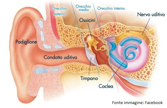 Perch Si Tappano Le Orecchie Cause E Soluzioni Studio Udire